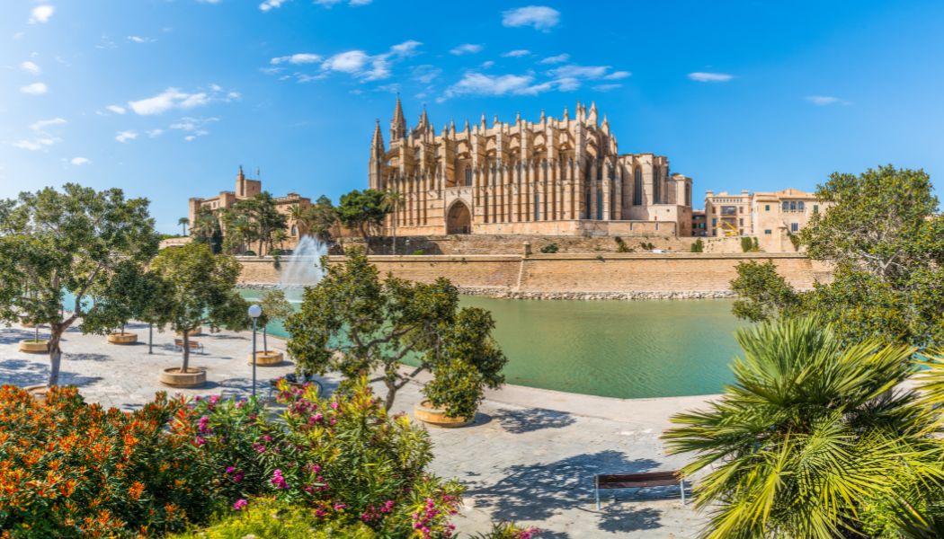 Palma Overview