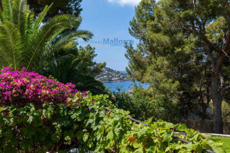 Villa in Port-Andratx, Villa Bestiar AN01