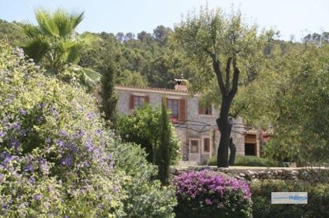 Villa in S'Arraco, Villa Jardin SA01