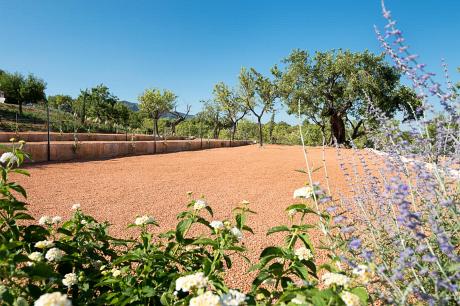 Villa in Campanet, Villa Venus CA03