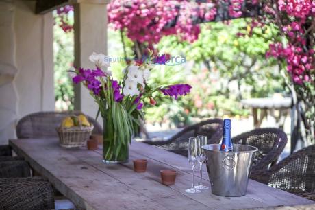 Villa in Port-Andratx, Villa Lemon Grove AN17