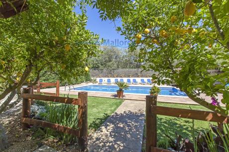 Villa in Port-Andratx, Villa Lemon Grove AN17